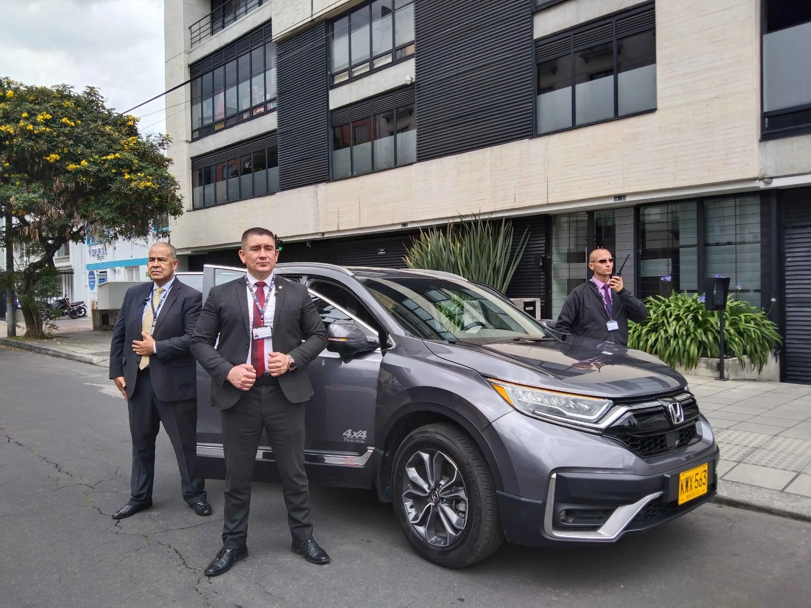 Vigilancia Profesional